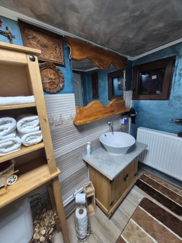 een badkamer met wastafel en toilet in een kamer bij Casa Petra in Sărata-Monteoru