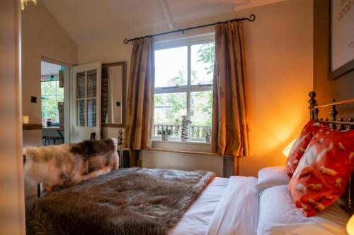 a dog standing next to a bed in a bedroom at River Cottage at Old Post Office in Bardon Mill