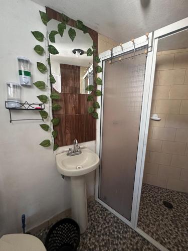a bathroom with a toilet and a sink and a shower at El Refugio del Viajero in Mineral del Chico
