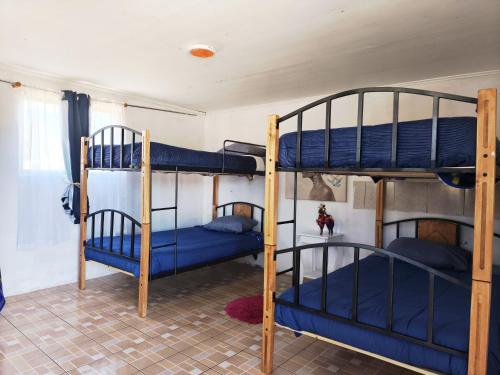 2 stapelbedden in een kamer met blauwe bedden bij Luna Atacama in San Pedro de Atacama
