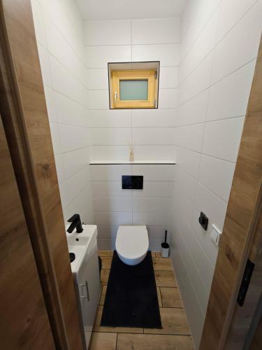 a small bathroom with a toilet and a sink at Dióliget Apartman - free e-bikes in Orfű