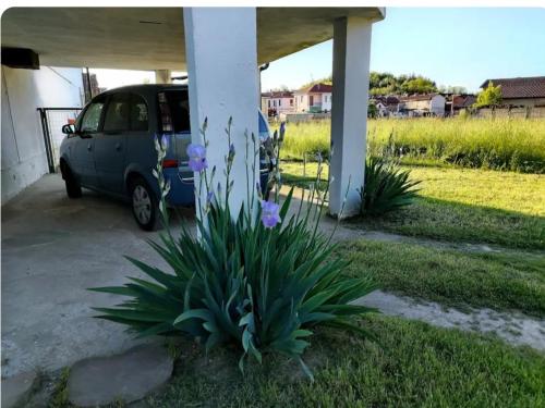 Ein Garten an der Unterkunft Casa di Bimba