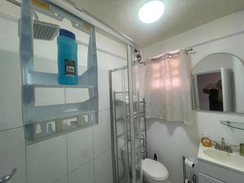 a bathroom with a shower and a toilet and a sink at Caribbean Dream Vacation Property CD6 in Rodney Bay Village