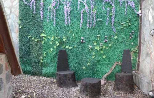 een groene muur met paarse bloemen en krukken bij Alpinasmaquen in Puerto Quequén
