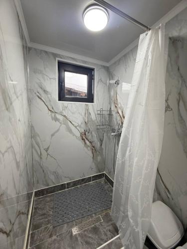 un bagno con doccia, WC e finestra di Aura BarnHouse a Karakol