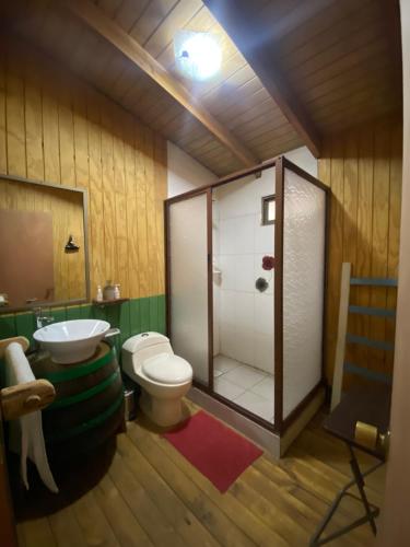 a bathroom with a shower and a toilet and a sink at Viña Don Heraldo in De Cauquenes