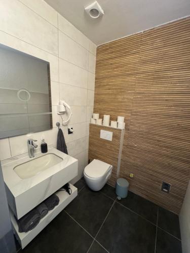een badkamer met een wastafel en een toilet bij Villa Lakeview Appartment in Leissigen