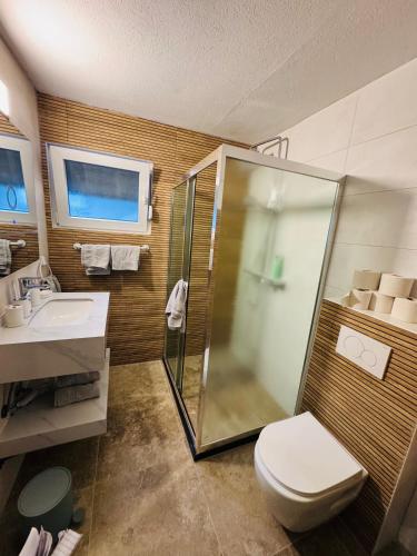 a bathroom with a shower and a toilet and a sink at Interlaken Villa Lakeview Appartment in Leissigen