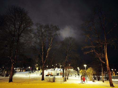 派尔努南方旅馆的一群人在夜间的公园里滑雪