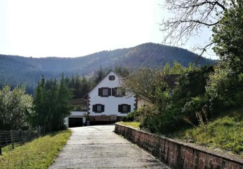 Gîte des abeilles du Kohlberg