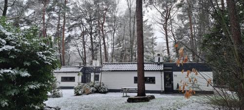 una casa nel bosco con la neve sul terreno di Knabbel en Babbel a Lochem