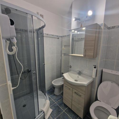 a bathroom with a shower and a toilet and a sink at Maria Central Studio in Târgu Neamț