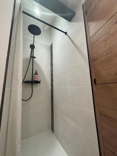a shower with a shower curtain and a door at Ranteil in Albi