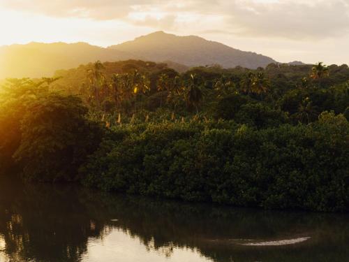 ein Wasserkörper mit Bäumen und Bergen im Hintergrund in der Unterkunft Finca Barlovento Maloka, Tayrona Park in Los Naranjos
