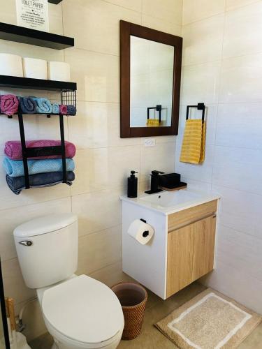 a bathroom with a toilet and a mirror and towels at O L S Property in Saint Marks Village