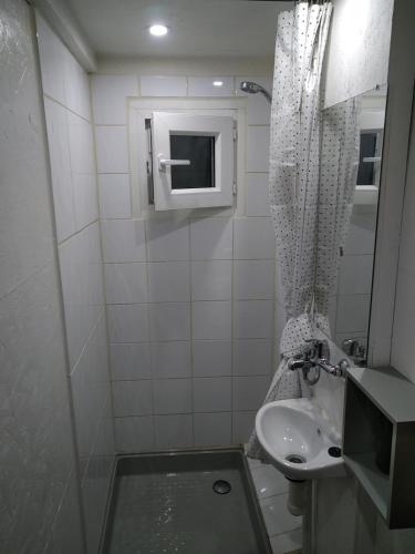 a small bathroom with a sink and a toilet at Gîte nature sous les châtaigniers in Zonza