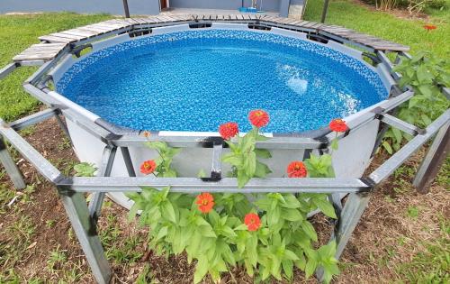 Swimmingpoolen hos eller tæt på Escapadita Pura Vida