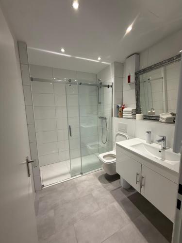 a bathroom with a shower and a toilet and a sink at Ferienwohnung-Montagewohnung 4 in Paderborn