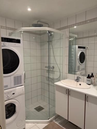 un bagno con lavatrice e lavandino di Stavanger Comfortable Living - One-bedroom Apartment a Stavanger