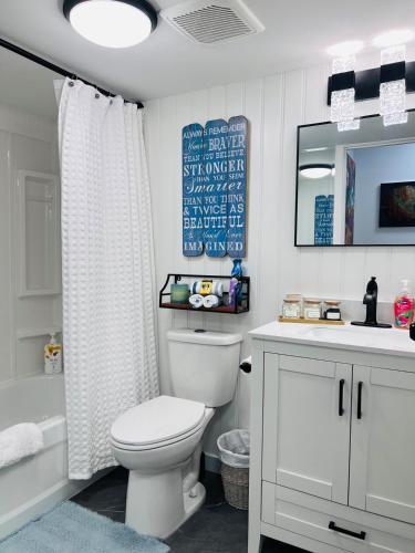 a bathroom with a toilet and a sink and a mirror at Harrison Lakeside Retreat in Harrison Hot Springs