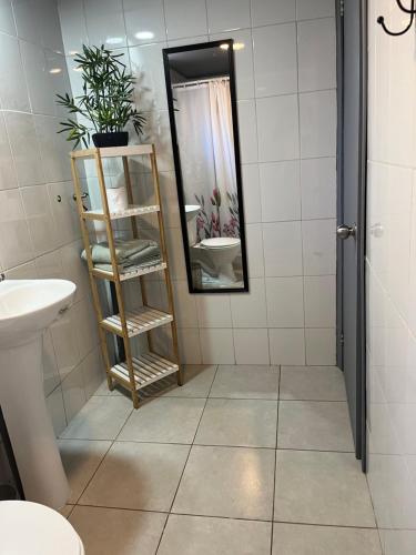 een badkamer met een spiegel en een plank met planten bij Cabañas Valentina in Valdivia