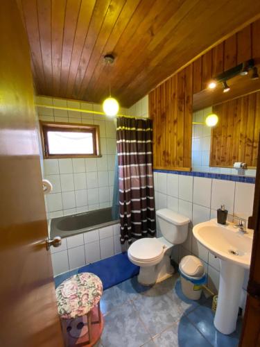 a bathroom with a toilet and a sink and a shower at Hostal Casa Damasco in Ancud