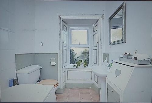 a white bathroom with a toilet and a sink at Charming Cottage For Share ,Private Double Room , Fast Fibre Optik Int, Free Parking, Garden in Edinburgh