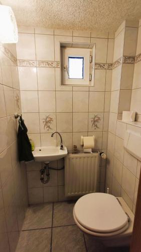 a small bathroom with a toilet and a sink at Souterrainwohnung in Niederau in Niederau