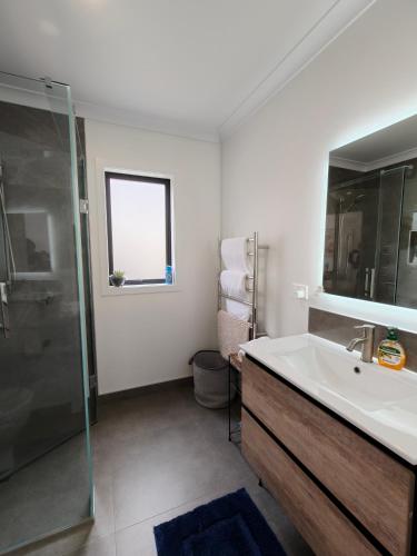 a bathroom with a sink and a shower at Cozy sleepout in Hamilton