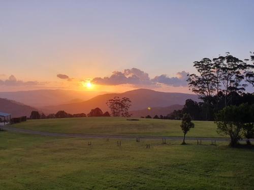 a sunset in a field with a tree in the foreground at Couples Accessible Cabin, Zarina Country Cabins, 6 in Witta