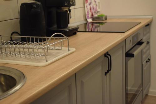 a kitchen counter with a dish drying rack on it at SarajevoView in Ivišovo Greblje