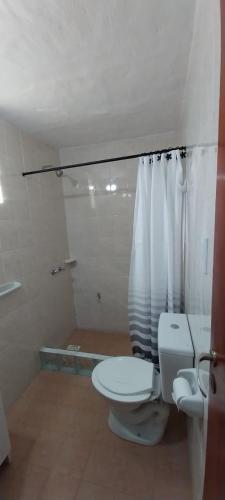 a bathroom with a toilet and a shower at La Casita de Oreste in Cosquín