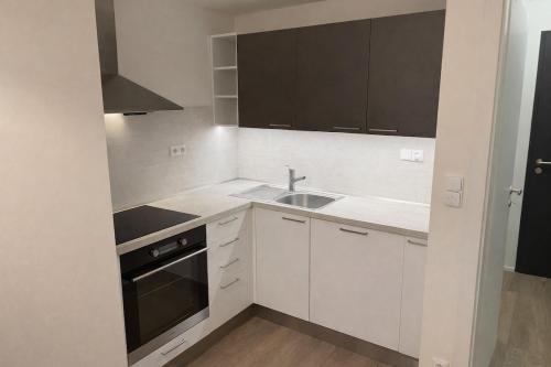 Modern apartment in the Amadeus residence