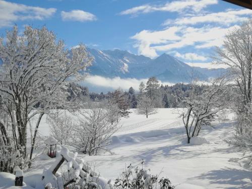 ein schneebedecktes Feld mit Bäumen und Bergen im Hintergrund in der Unterkunft Das Talgut in Ofterschwang