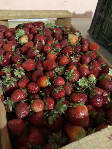 Gallery image of Kuku hostel in Las Rabonas