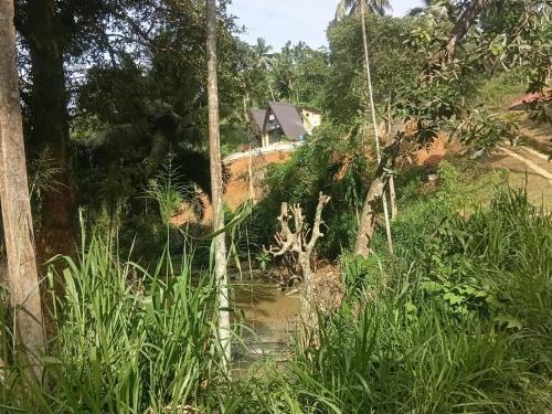 Naturlandschaft in der Nähe der Villa