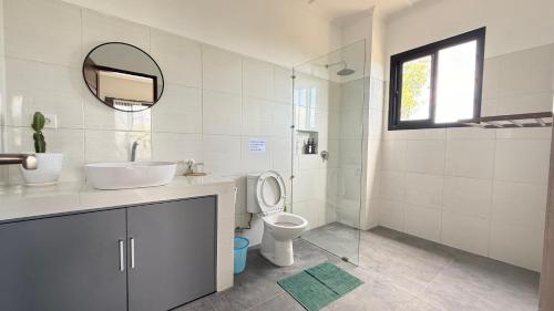 a bathroom with a sink and a toilet and a mirror at Ocean Daze Villa Yehsumbul in Jembrana