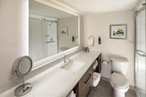 ein Badezimmer mit Toilette, Waschbecken und Spiegel in der Unterkunft DoubleTree by Hilton Murfreesboro in Murfreesboro