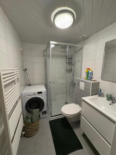 a bathroom with a shower toilet and a washing machine at Rumah Bersama Kempenbos in Diessen
