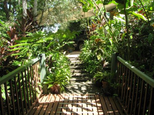 a wooden walkway in a garden with plants at Mossman Gorge Bed and Breakfast in Mossman
