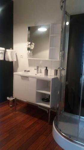 ein Badezimmer mit einem weißen Waschbecken und einer Dusche in der Unterkunft Apt 5 du Temple HyperCentre & Parking in Cambrai