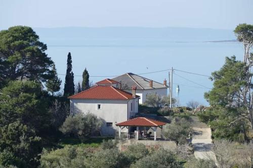 Immortelle House