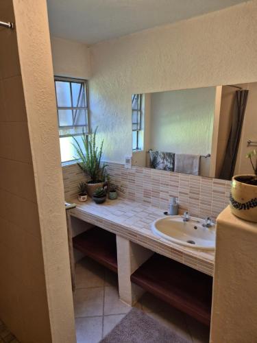 a bathroom with a sink and a large mirror at The Macadamia Nut Farm House in White River