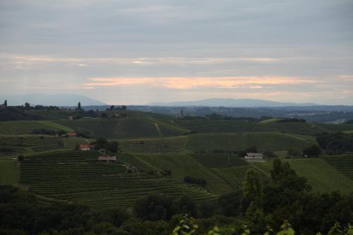 a view of a vineyard in the hills at Holiday Home Mađerka in Štrigova