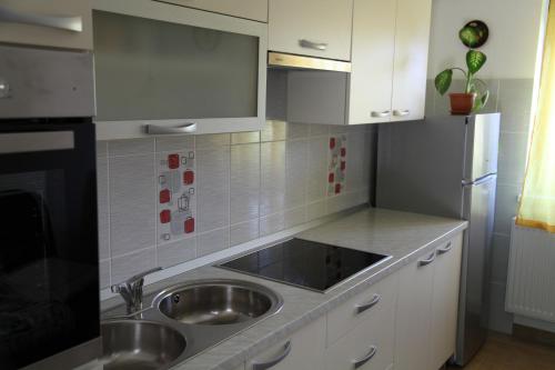 Kuchyň nebo kuchyňský kout v ubytování Holiday Home Mađerka