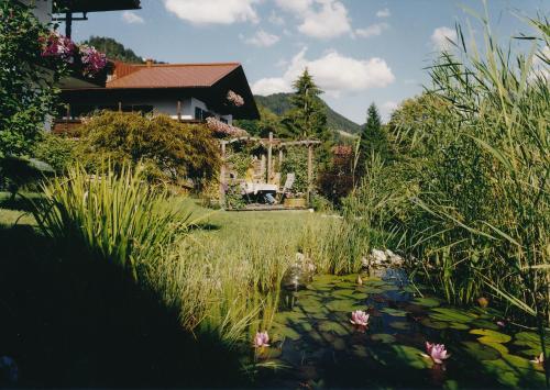 a garden with a pond in front of a house at Ferienwohnungen am Hausberg in Reit im Winkl