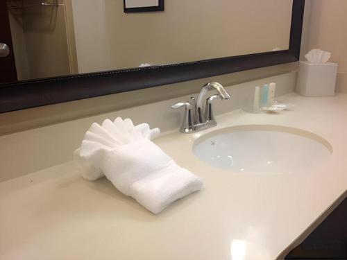 Billede fra billedgalleriet på Quality Suites Huntsville Near University i Huntsville