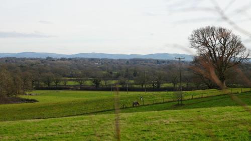a horse grazing in a field with a fence at Belle's Belle-Vue in Thakeham