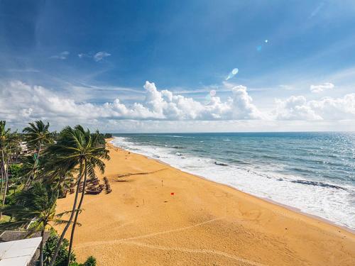 an empty beach with palm trees and the ocean at Mount Lavinia Hotel in Mount Lavinia