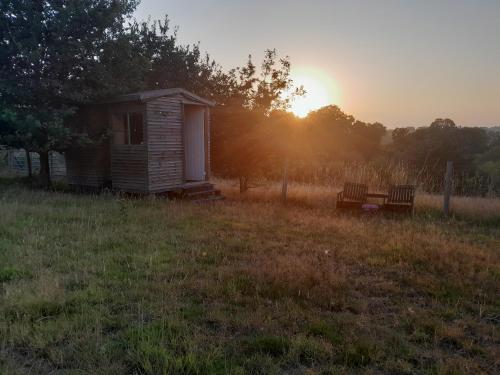 a small cabin in a field with two benches at Belle's Belle-Vue in Thakeham